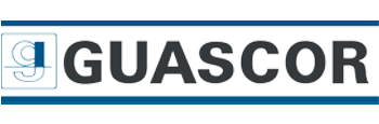 Logo motor guascor